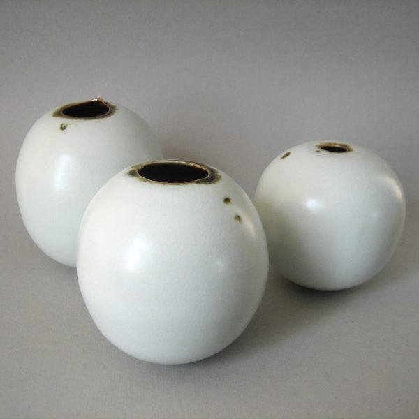 Elaine Bolt, vessels