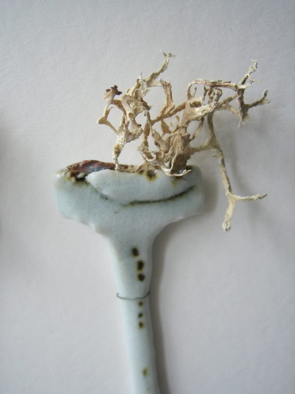 Elaine Bolt ceramics