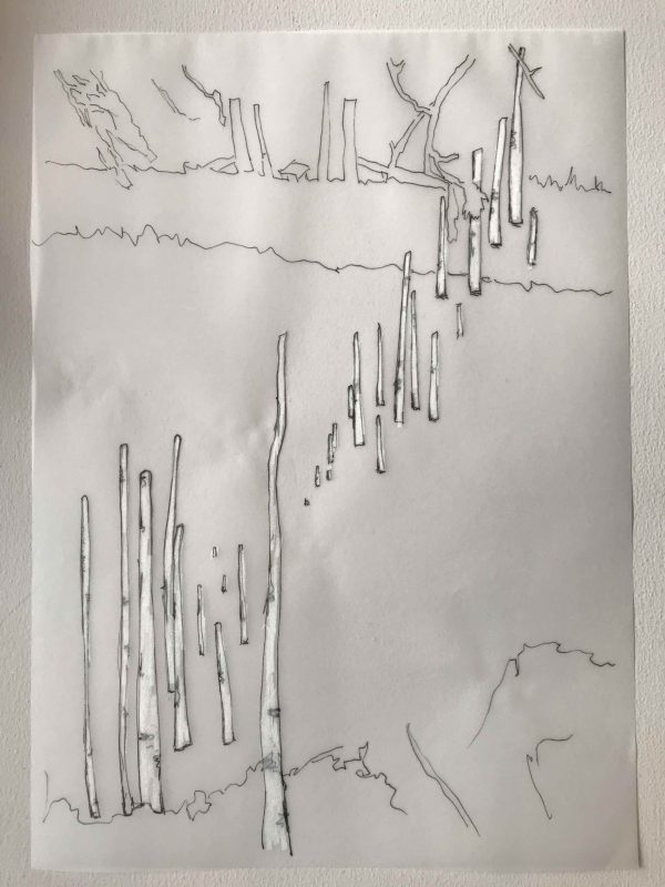 Elaine Bolt draft tree drawing 1