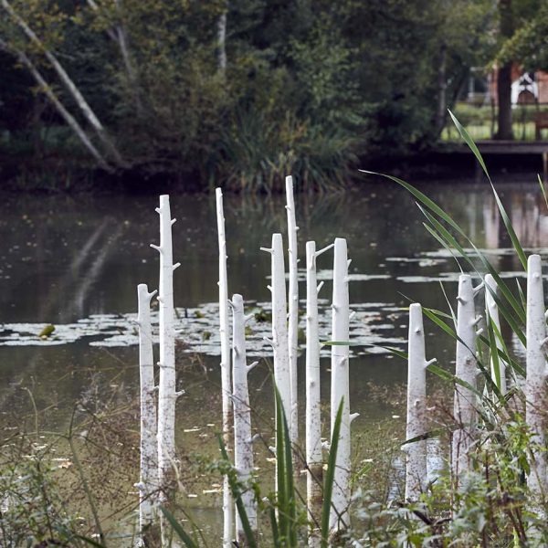 'Trees' installation by Elaine Bolt at the Pond House Isfield, photographed by Alun Callender