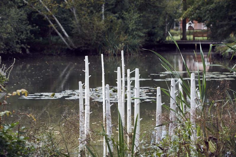 'Trees' installation by Elaine Bolt at the Pond House Isfield, photographed by Alun Callender