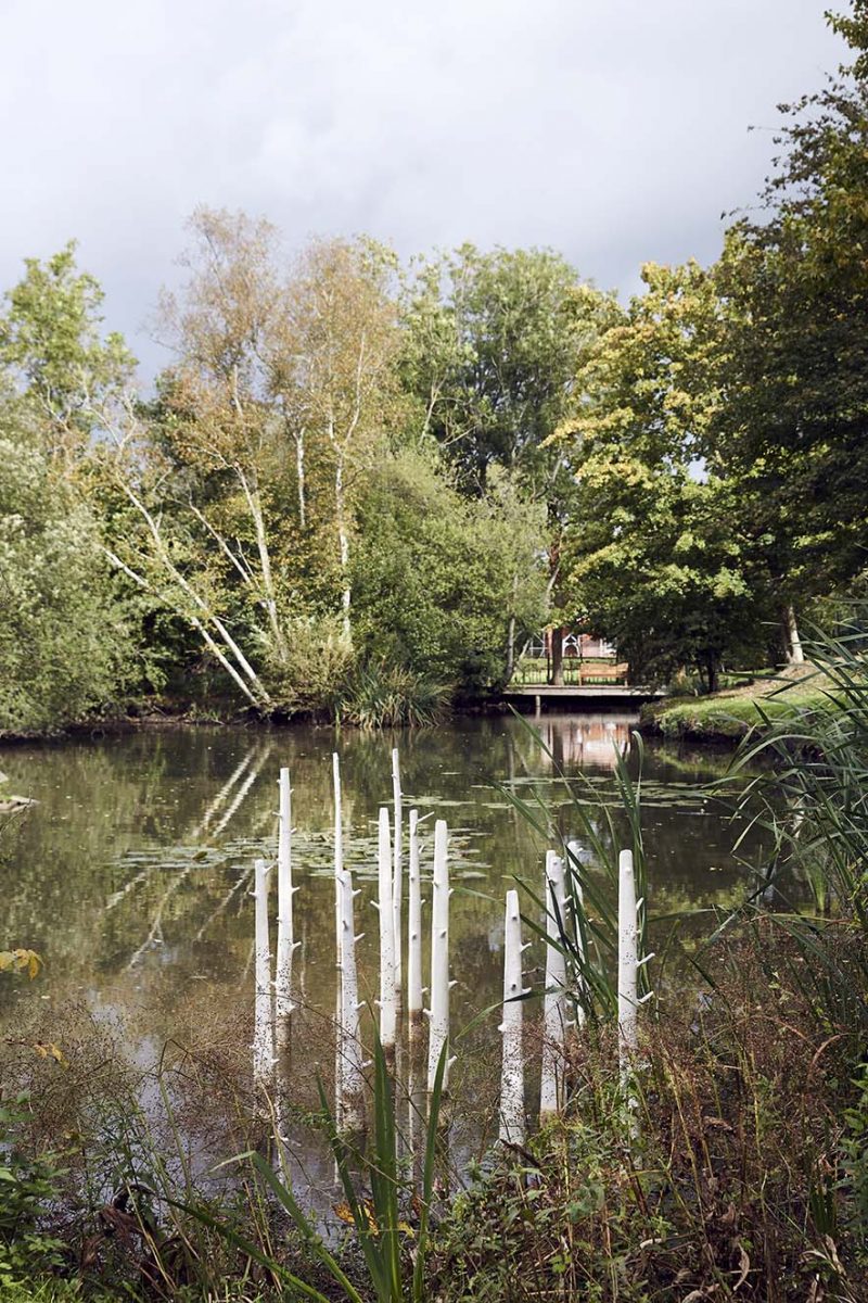 'Trees' installation by Elaine Bolt at the Pond House Isfield, photographed by Alun Callender