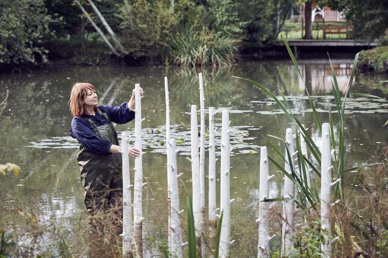 Trees sculpture installation by Elaine Bolt at the Pond House, photography by Alun Callender