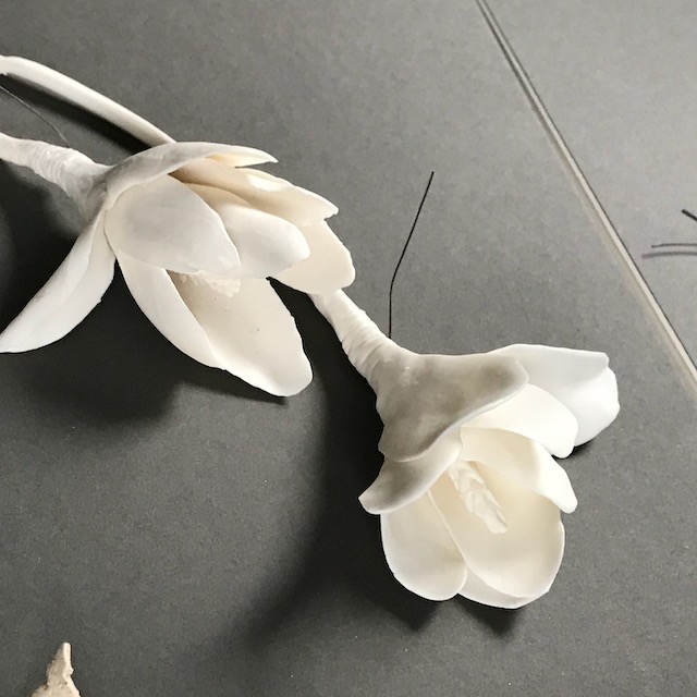 Handbuilding with Porcelain - six week course - Image 10