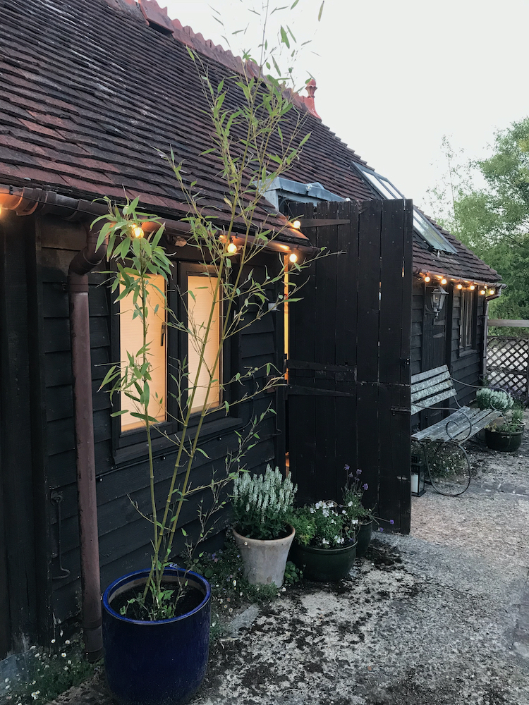 Elaine Sheppard Bolt studio exterior image wiht lights on