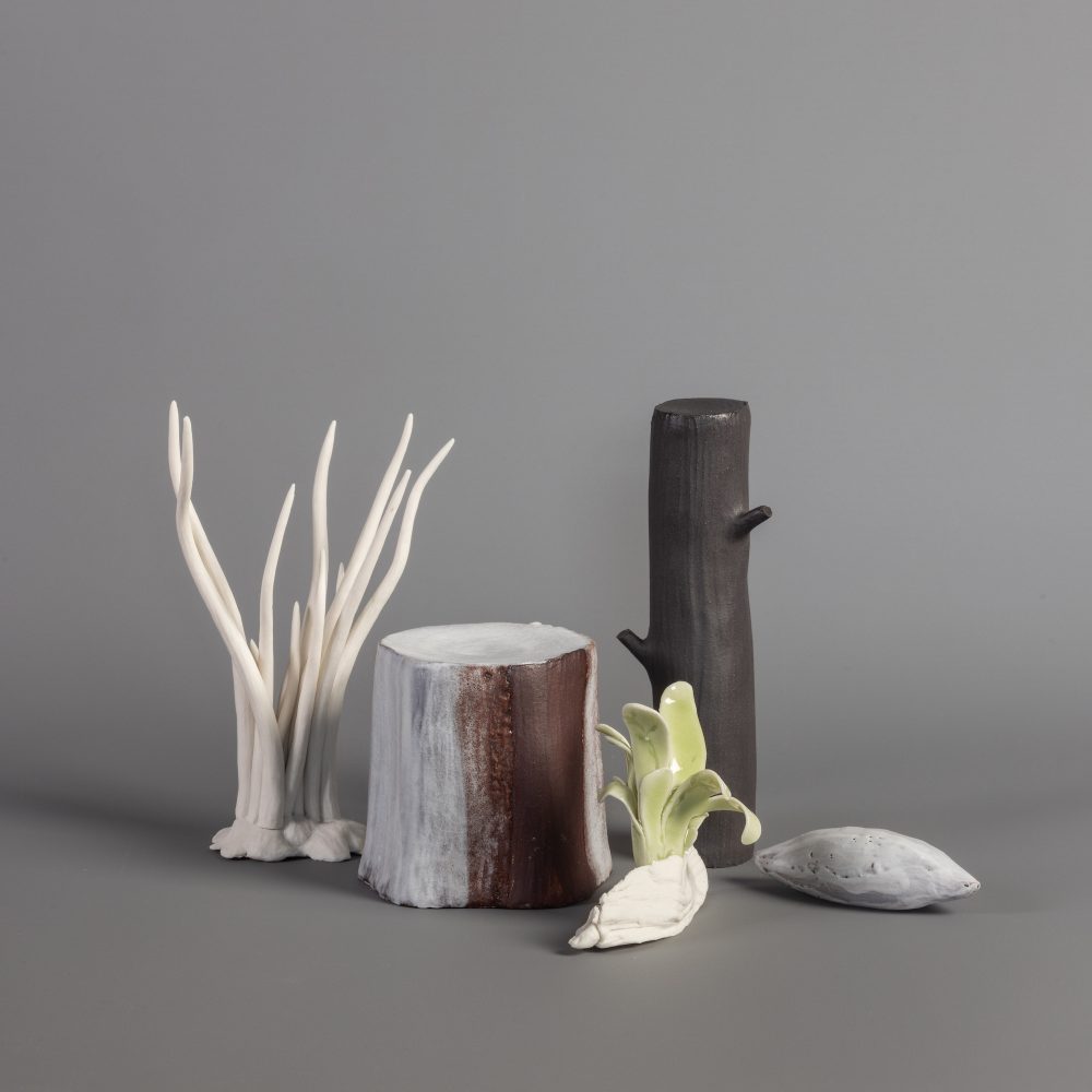 500 Year Garden 2 sculptural group by Elaine Sheppard Bolt, photography by Catherine Benson